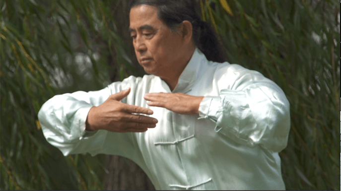 Master Jianye Jiang